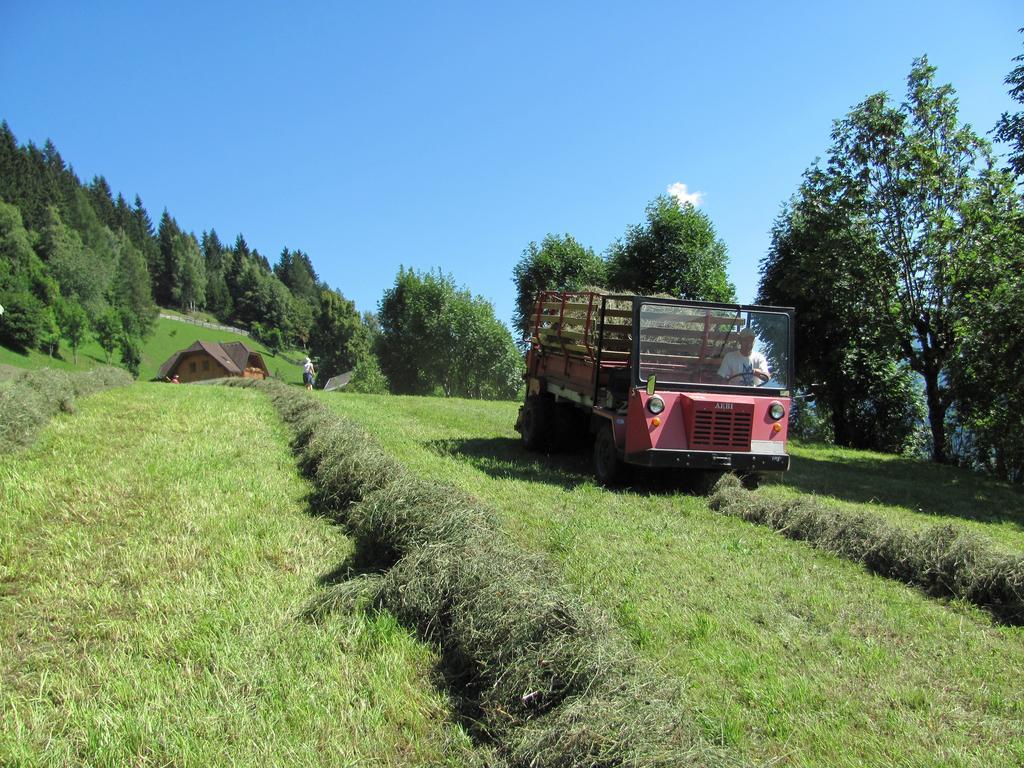 Lercherhof Feld am See Exterior foto